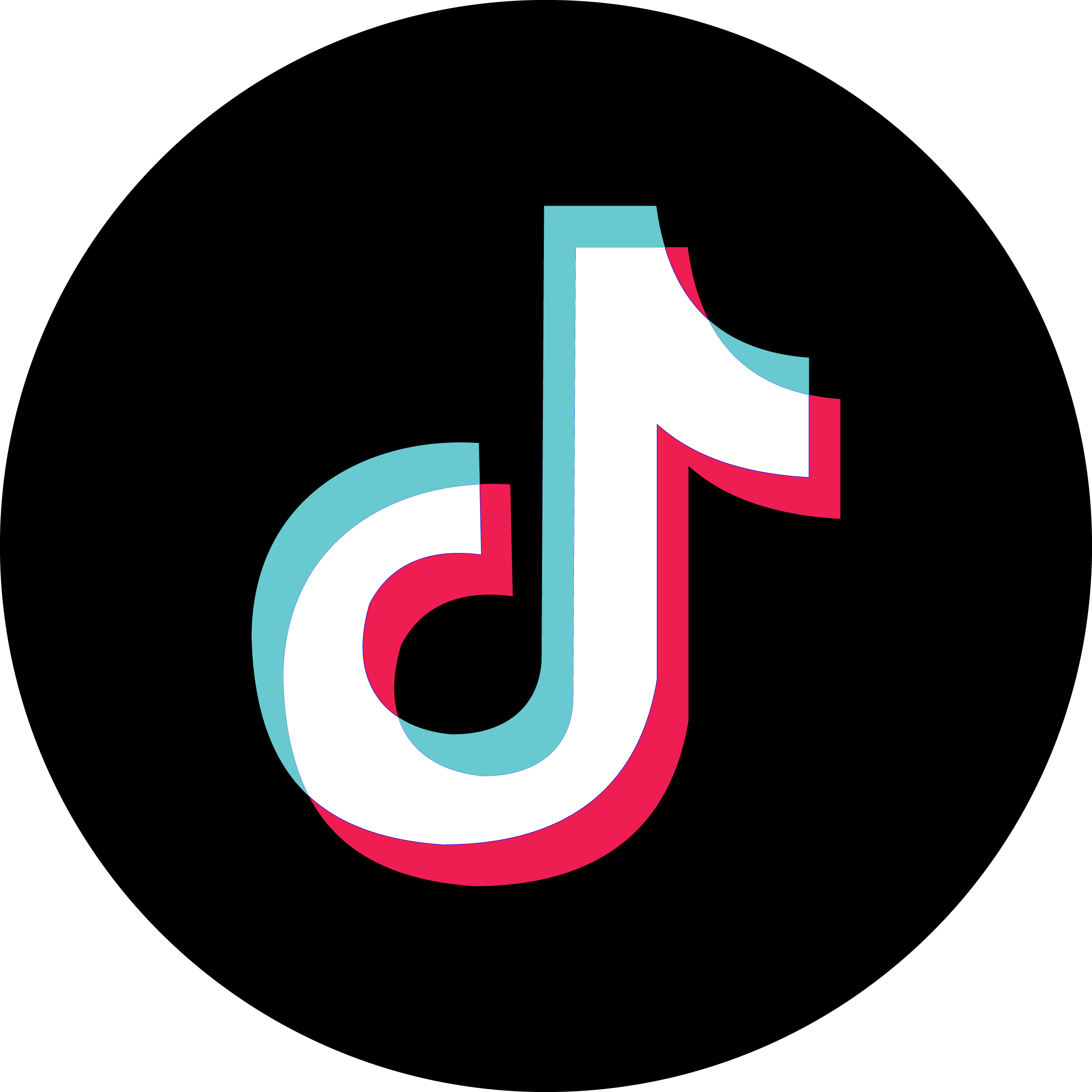Tiktok marketplace integration